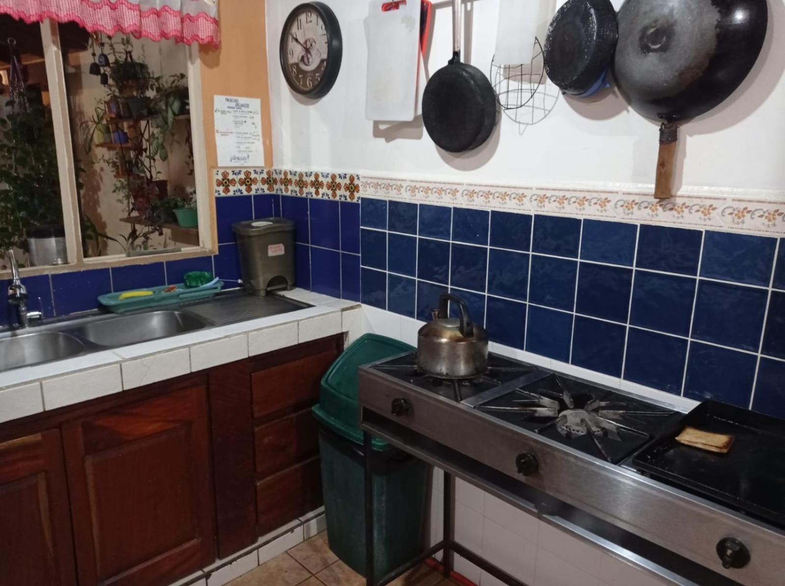 Hostel Casa Ridgway Сан-Хосе Экстерьер фото